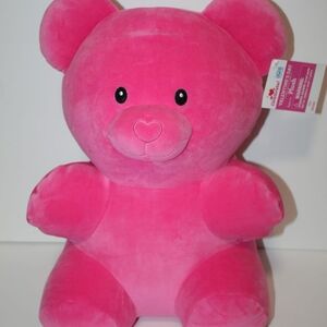 Pink Plush Teddy Bear